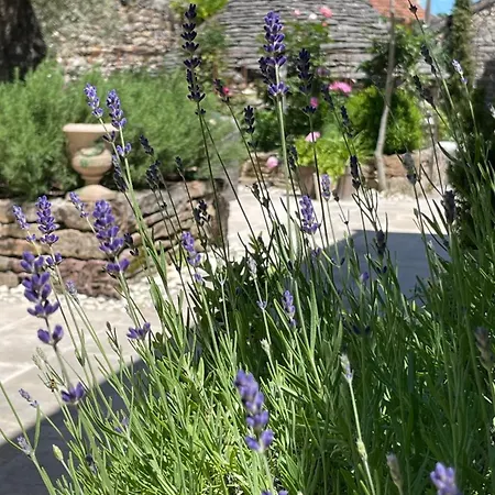 Exclusive With Pool Near Saint Cirq Lapopie Tranquil Luxury